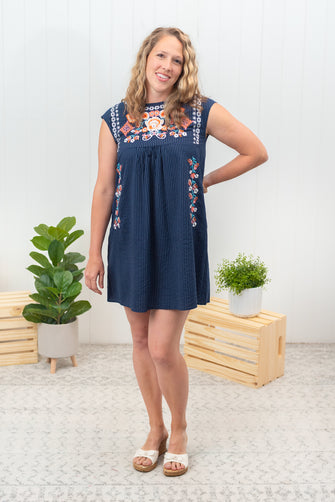 What You Deserve - Embroidered Striped Mini Dress